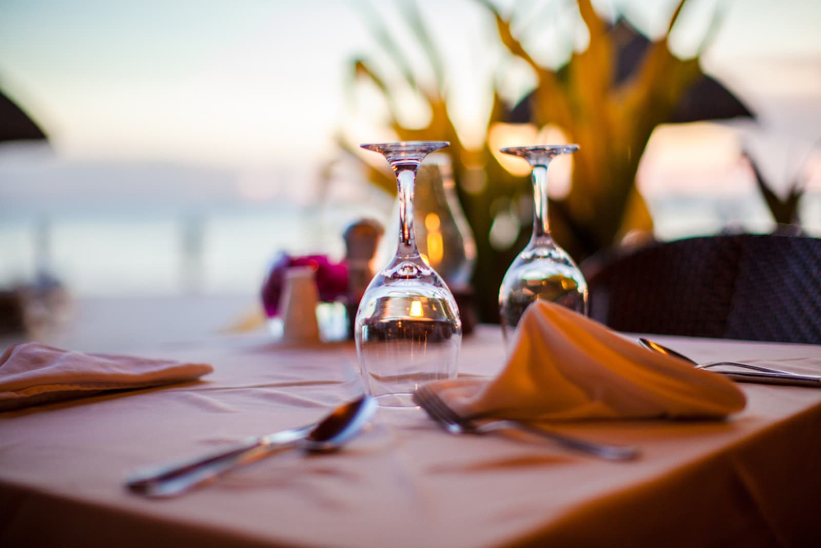 Best Restaurants In Aruba In 2023 Where To Eat Explore Aruba   Best Restaurants Aruba Tips Where To Eat 